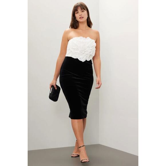 Badgley Mischka Black Velvet with White Rose Bodice Dress - Picture 1 of 11